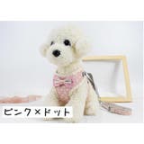 ハーネス リードつき セット | PlusNao | 詳細画像15 