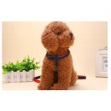 ハーネス リード 2点セット | PlusNao | 詳細画像2 