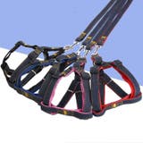 ハーネス リード 2点セット | PlusNao | 詳細画像5 