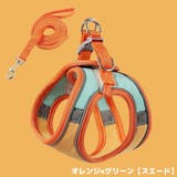 ハーネス リード セット | PlusNao | 詳細画像10 