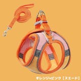 ハーネス リード セット | PlusNao | 詳細画像13 