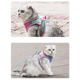 ハーネス リード セット | PlusNao | 詳細画像2 