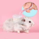 小動物用ブラシ ペット用品 ブラッシング | PlusNao | 詳細画像3 