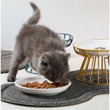 猫用食器 犬用食器 スタンド | PlusNao | 詳細画像7 