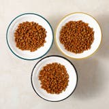 猫用食器 犬用食器 スタンド | PlusNao | 詳細画像8 