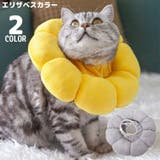 エリザベスカラー 猫 犬 | PlusNao | 詳細画像1