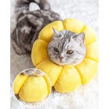 エリザベスカラー 猫 犬 | PlusNao | 詳細画像2