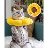 エリザベスカラー 猫 犬 | PlusNao | 詳細画像3