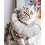 エリザベスカラー 猫 犬 | PlusNao | 詳細画像6