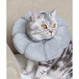 エリザベスカラー 猫 犬 | PlusNao | 詳細画像8
