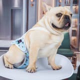 犬用サニタリーパンツ マナーパンツ ペット用品 | PlusNao | 詳細画像3 