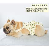 犬用サニタリーパンツ マナーパンツ ペット用品 | PlusNao | 詳細画像5 