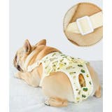 犬用サニタリーパンツ マナーパンツ ペット用品 | PlusNao | 詳細画像6 