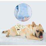 犬用サニタリーパンツ マナーパンツ ペット用品 | PlusNao | 詳細画像7 