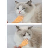 猫用おもちゃ ペットおもちゃ ラバートーイ | PlusNao | 詳細画像3