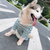 ペットウェア シャツ 中型犬 | PlusNao | 詳細画像18 