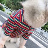 ペットウェア シャツ 中型犬 | PlusNao | 詳細画像4 