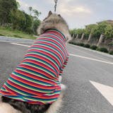 ペットウェア シャツ 中型犬 | PlusNao | 詳細画像5 