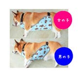 犬用 泥除けエプロン 泥はねガード | PlusNao | 詳細画像10 