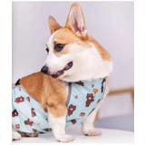 犬用 泥除けエプロン 泥はねガード | PlusNao | 詳細画像5 