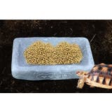 ペット食器 飲料水ボウル ウォーターディッシュ | PlusNao | 詳細画像3