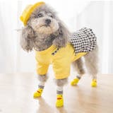 ペット用 靴下 くつ下 | PlusNao | 詳細画像4 