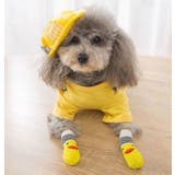 ペット用 靴下 くつ下 | PlusNao | 詳細画像5 