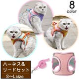 ハーネス リード セット | PlusNao | 詳細画像1 