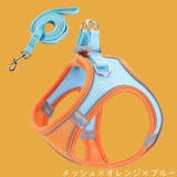 ハーネス リード セット | PlusNao | 詳細画像12 
