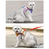 ハーネス リード セット | PlusNao | 詳細画像3 