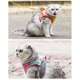 ハーネス リード セット | PlusNao | 詳細画像4 