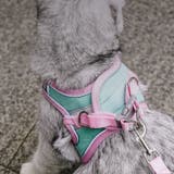 ハーネス リード セット | PlusNao | 詳細画像6 