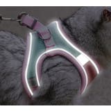 ハーネス リード セット | PlusNao | 詳細画像7 