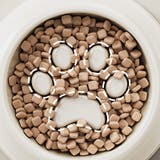 ペット用食器 犬用食器 早食い対策 | PlusNao | 詳細画像5 