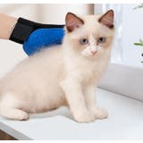 グルーミンググローブ 片手用 1枚 | PlusNao | 詳細画像2 