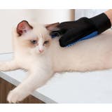 グルーミンググローブ 片手用 1枚 | PlusNao | 詳細画像3 