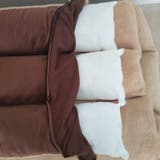 ペットベッド ペット用マット 犬 | PlusNao | 詳細画像13 