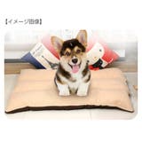 ペットベッド ペット用マット 犬 | PlusNao | 詳細画像2 
