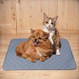 ペットシーツ 2枚セット 45×60cm | PlusNao | 詳細画像8 