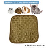 ペットシーツ 3枚セット 30×30cm | PlusNao | 詳細画像4 