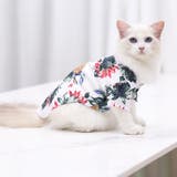 ペットウェア アロハシャツ 犬服 | PlusNao | 詳細画像13