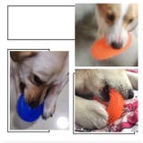 ペット用品 ドッグ おもちゃ | PlusNao | 詳細画像2 