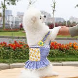 ドッグウェア キャミソールワンピース 犬服 | PlusNao | 詳細画像10 