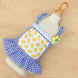 ドッグウェア キャミソールワンピース 犬服 | PlusNao | 詳細画像14 