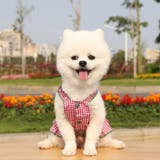 ドッグウェア キャミソールワンピース 犬服 | PlusNao | 詳細画像3 