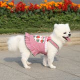 ドッグウェア キャミソールワンピース 犬服 | PlusNao | 詳細画像4 