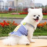 ドッグウェア キャミソールワンピース 犬服 | PlusNao | 詳細画像8 