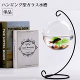 ガラス水槽 金魚鉢 単品 | PlusNao | 詳細画像1