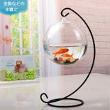 ガラス水槽 金魚鉢 単品 | PlusNao | 詳細画像2