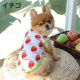 ドッグウェア ペットウェア タンクトップ | PlusNao | 詳細画像10 